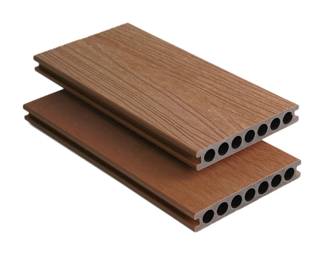 SG148Y23 — Teak