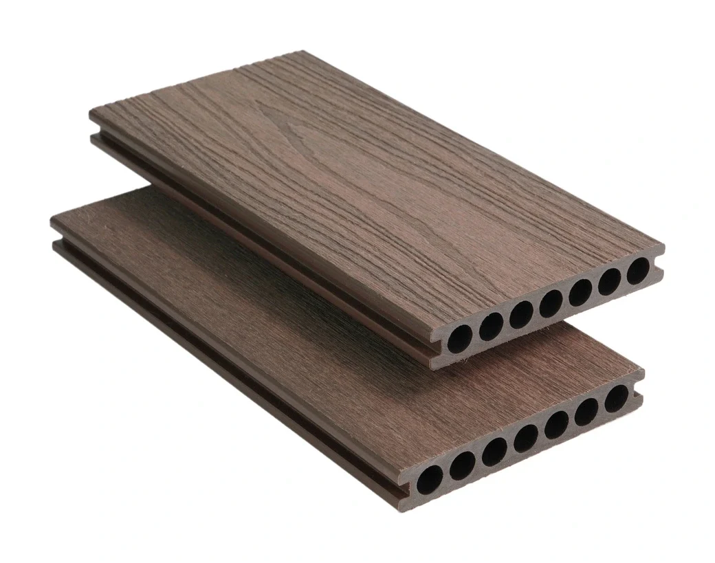 SG148Y23 — Walnut